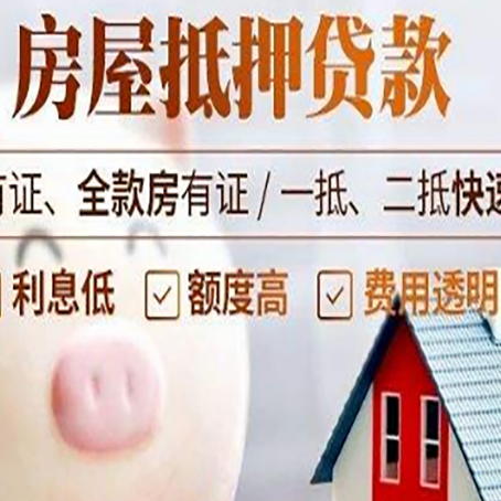 庐江贷款助贷公司新渝启服靠谱公司