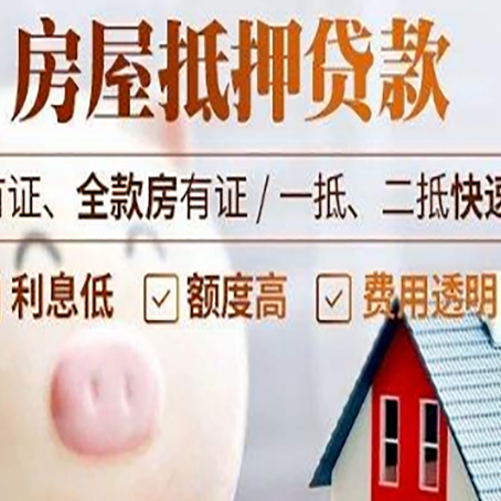 庐江贷款助贷公司新渝启服成立时间久